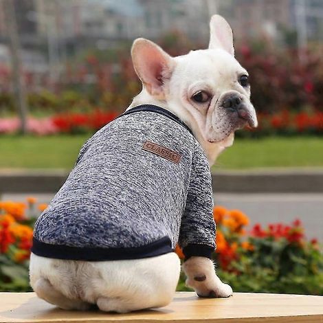 Ropa de primavera y verano para perros pequeños, suéter suave para mascotas, ropa para perros chihuahua, atuendo clásico para mascotas, ropa para perro azul marino (1/5)