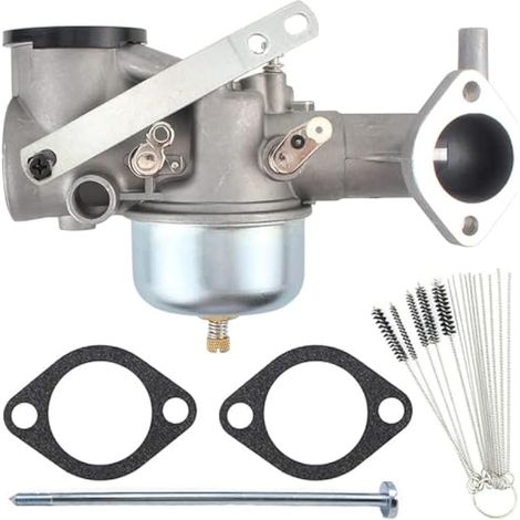 491590 Carburateur pour Briggs & Stratton 390811 392152 Carb Fit 190701 191700 190702 192700 190705 190706-2179 190707 193700 Série Moteur avec joint (1/5)
