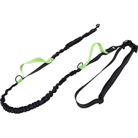 Laisse de promenade pour chien réfléchissante, poignée double extensible, cordon de course portable vert, laisse de sport pour animal de compagnie. (1/5)