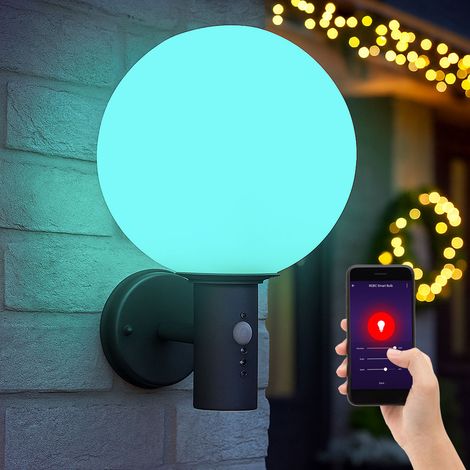 Wandlampe mit Bewegungsmelder Außenleuchte Anthrazit Kugellampe Sensor LED Hauswandleuchte, Glas Edelstahl, App Steuerung CCT, Smart RGB LED 8,5W 806Lm, DxH 25x37 cm