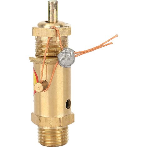 1pc G1/4 Soupape de sécurité à ressort pour compresseur d'air, soupape de décharge de pression, soupape de réduction de pression d'échappement pour générateurs de vapeur de chaudière, capacité de char (1/5)