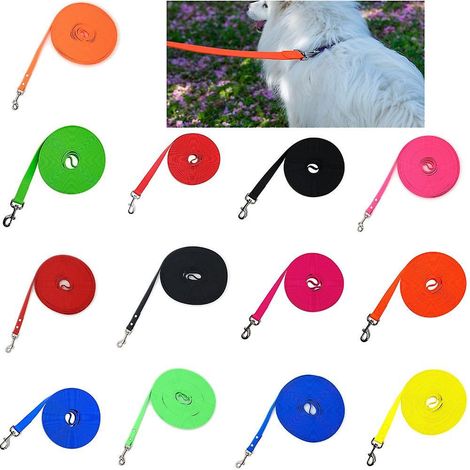 Laisse résistante pour chien de 3 à 15 mètres, anti-nœuds et confortable - 10 m - style rivet bleu (1/4)