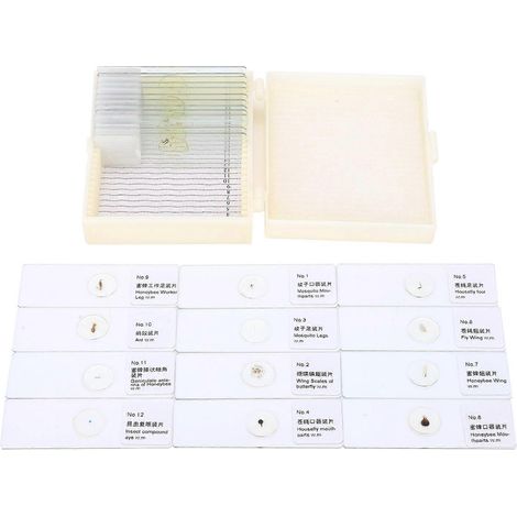 25-teiliges Set PJH-25 Mikroskop-Objektträger für Insekten, biologische Experimente und medizinische Ausbildung