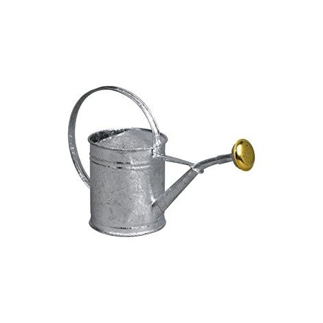 annaffiatoio in acciaio zincato 1l - 80300 - Guillouard (1/3)