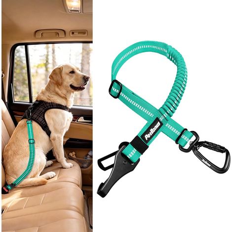 Ceinture Chien Voiture, Solide Attache Chien Voiture pour Animal (1/5)