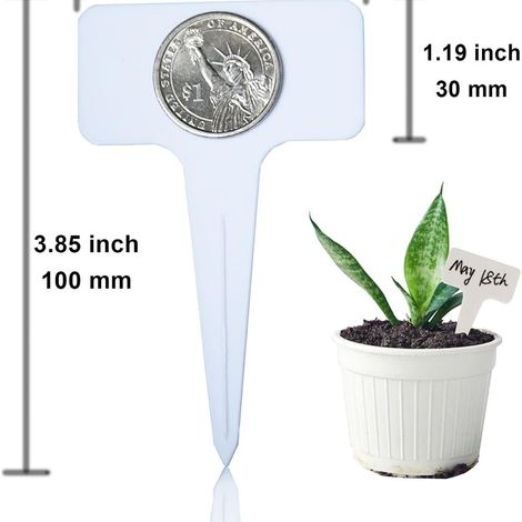 100 étiquettes en plastique pour plantes (1/4)