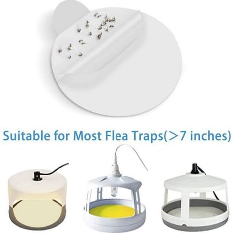 12pcs Disques de rechange piège à puces - Adhésif puissant et durable Diamètre 18cm universel - Piégeage insectes intérieur (1/4)