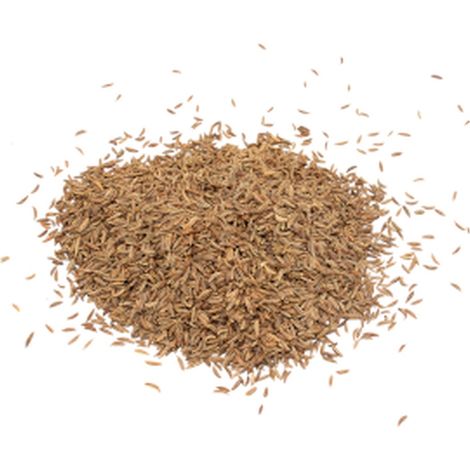 Carvi (grain) 1Kg- Vendu par 1
