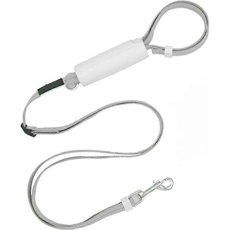 Laisse automatique réglable pour chiens et chats, antidérapante, idéale pour les promenades en extérieur. Convient aux chiens et chats de petite, moyenne et grande taille. (1/5)
