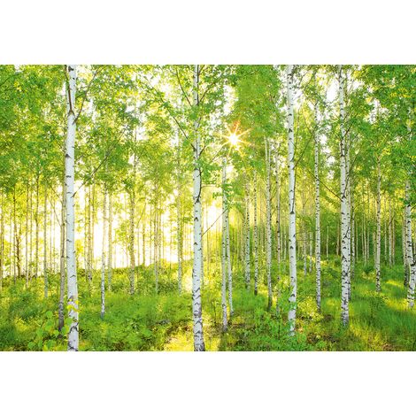 Komar Sunday 368 x 248 cm, Papier peint panoramique XXL4-519, photomurale sur intissé (1/4)