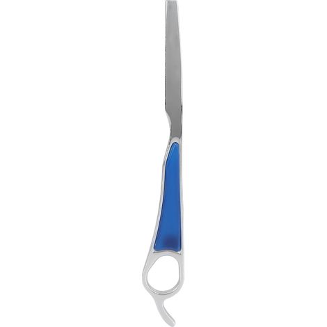 Rasoir droit professionnel pour coiffeur, coupe et style précis, lame simple sans lames fournies. (1/5)