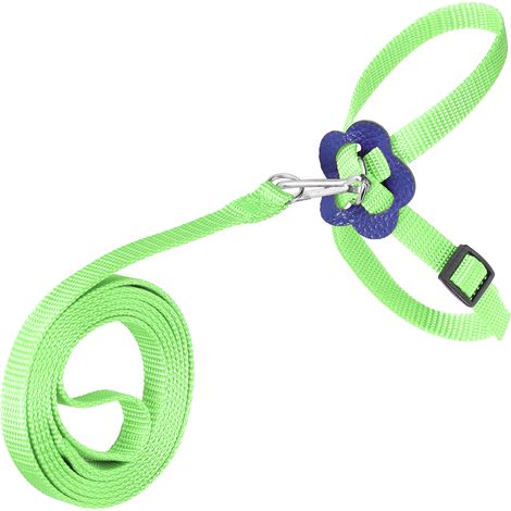 Harnais pour oiseau, laisse pour perroquet réglable, corde anti-morsure en nylon pour le dressage en extérieur (vert) (1/5)