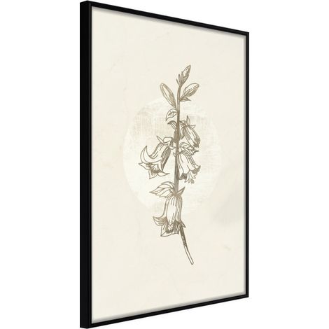 Affiche Murale Encadrée "Beige Campanula" 21 x 30 cm Noir