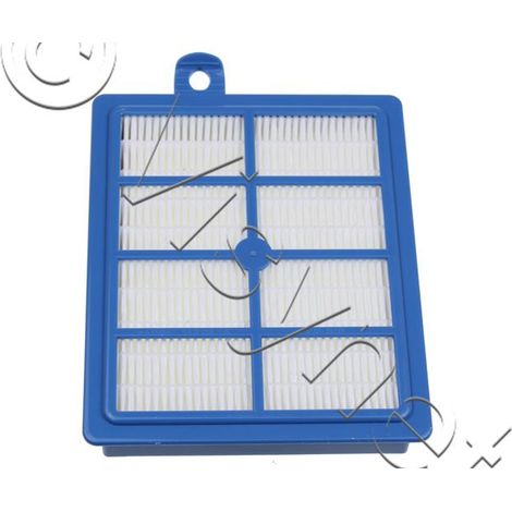 Filtre lavable allergie plus AFS1W d'origine (1/2)