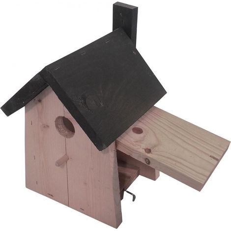 Nichoir Oiseau (1/2)