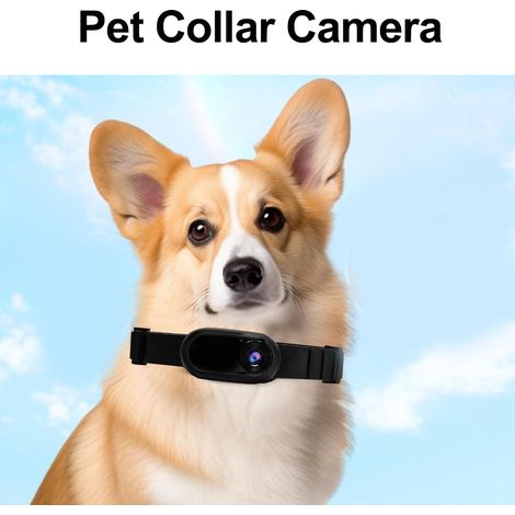 Collier pour animaux de compagnie caméra haute définition Portable chien Tracker Action Sport Cam chat vidéo noir (1/5)