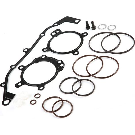 Vanos-Doppel-O-Ring-Satz für BMW E36, E39, E46 und E53, leckagefreie Reparatur, Motordichtung (1/5)