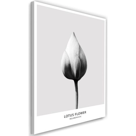 Cadre déco Fleur de lotus noire et blanche 40x60 (1/5)