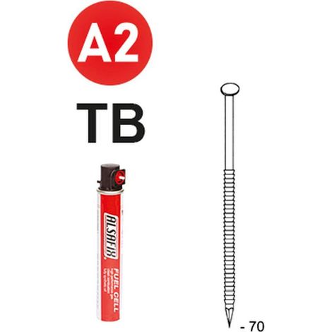 2 200 Pointes Annelées Inox Tb en Bande 34° (Pack) - 2.8x70 mm + 2 Cartouches de Gaz Rouge - D-Work