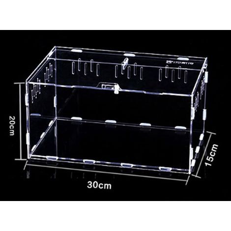 Acryl-Terrarium, transparent, belüftet, für Reptilien und Insekten (1/5)