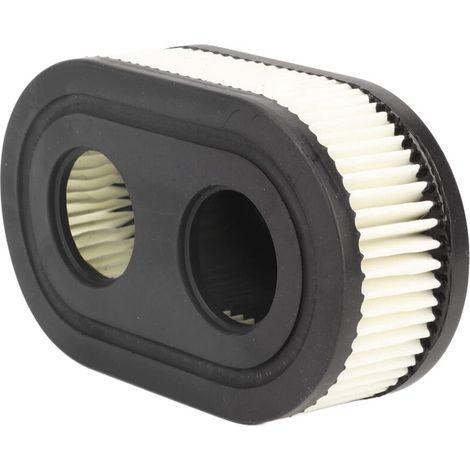 Filtre À Air De Remplacement Pour Tondeuse, Compatible Avec Viking MB 448.1 T Et STIHL RMA 448.1 (1/4)