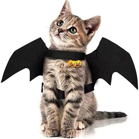 Décoration d'ailes pour animaux de compagnie - avec clochettes - Accessoires de costume d'Halloween pour chats et chiens (1/5)