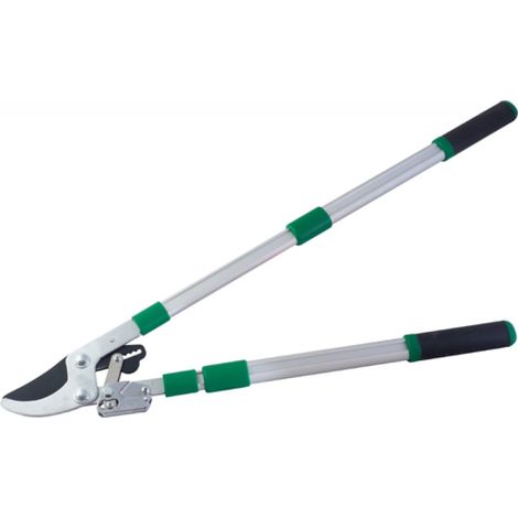 RICAMBIO TAGLIARAMI (89597) PAPILLON MOLLE (1/2)