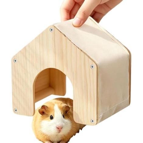 Maison Hérisson Habitat Petits Animaux Domestiques Et Cabane De Repos En (1/5)