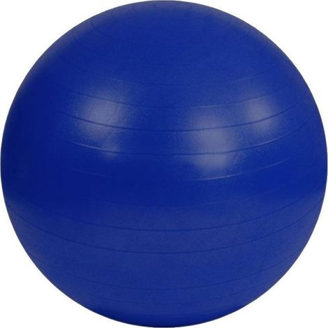 Inny - Ballon d'exercice incassable PP7088 (55 cm) (Bleu marine foncé)