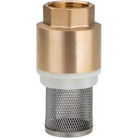 Vanne de fond de puits en cuivre crépine d'entrée de pompe à eau noyau en plastique filetage femelle en cuivre avec crépine clapet anti-retour vertical - 4 points 50g,DN1, 1pc (1/2)