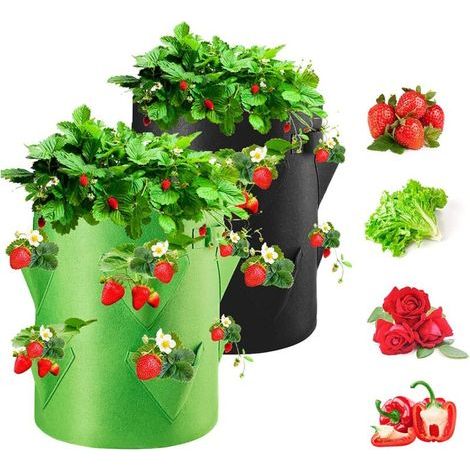 Sacs de Culture pour Fraise, 2PCS 40L/10 Gallons Sac de Legumes, Tissu Non-tissé Sac de Plantation avec Fenêtre, Sac de Legumes de Jardin (1/4)
