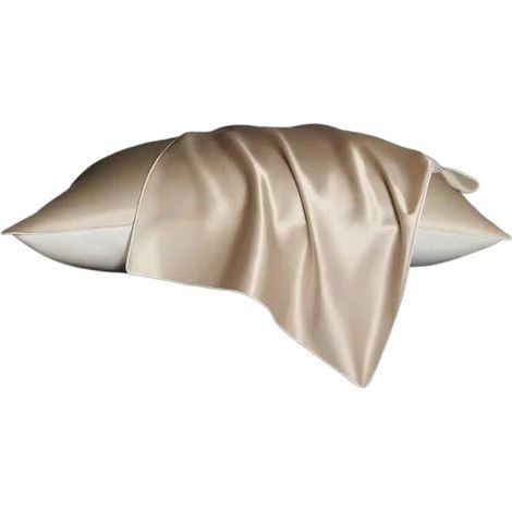 Taie D Oreiller - Soie 22 Mommes - Satin 600 Fils - Fermeture Eclair Dissimulee - Champagne - 50x75 Cm - Lot De 2