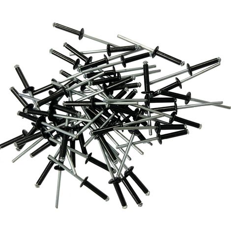200 rivets eclateurs noirs de 4 x 20 plaques d'immatriculation