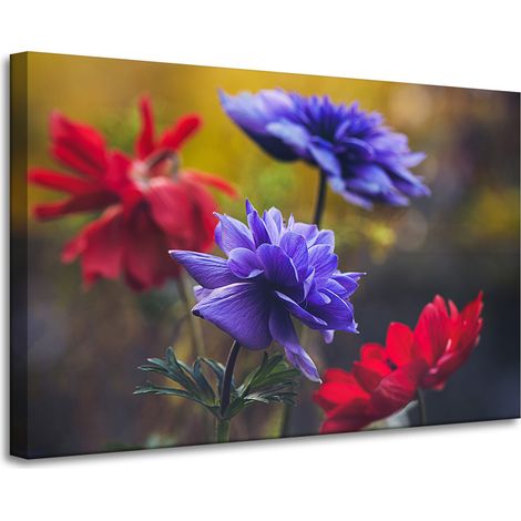Stampa su tela "Botanica - Fiori selvatici" 90x60 cm