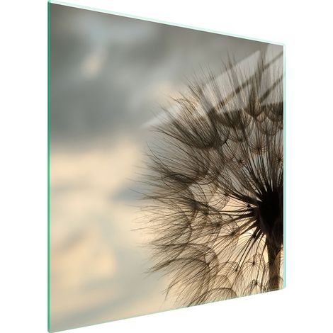 PIASTRA PROTETTIVA IN VETRO PER STUFA 50x52 FLOWER (1/5)