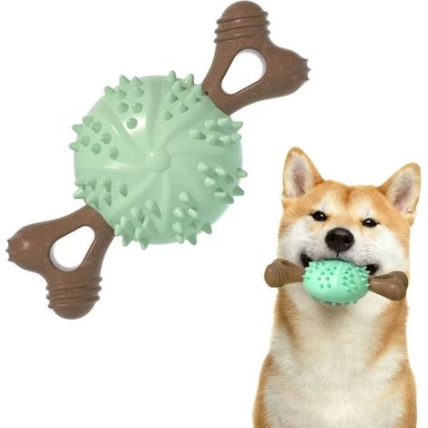 Balle à mâcher pour animaux, balle de jeu interactive pour pelouse, convient aux chiens de petite et moyenne taille, verte. (1/4)