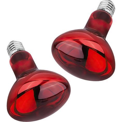 2 Ampoule Chauffante Reptile, 100W, Douille E27, Lumière Infrarouge, Pour Terrarium Serpent Tortue (1/5)