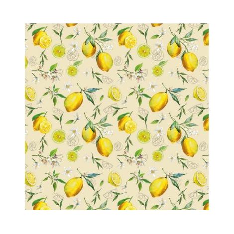 1ROTOLO TOVAGLIATO IN PVC FANTASTIK C96-1  Rotolo cm.140 (H) x 20 mt (L)