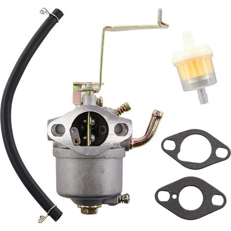 Carburateur avec joint de durite de filtre à essence pour groupes électrogènes Einhell STE 800, STE 8000/1, STE 800/1, BEX/1 (1/4)