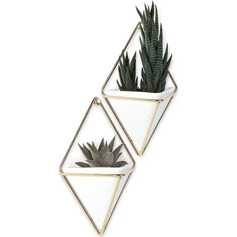 Ensemble de 2 jardinières suspendues géométriques blanches et laiton pour petites plantes et plantes succulentes avec décoration murale (1/5)