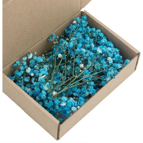 Tiges de gypsophile blanche séchée multicolores idéales pour les compositions florales et les projets créatifs - 7 (1/5)