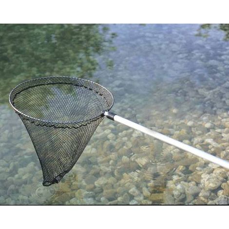 Oase Fischkescher Groß
