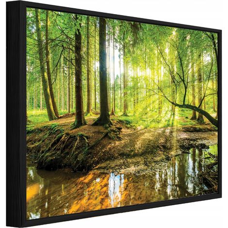 Gerahmtes Leinwandbild mit schwarzem Rahmen, Wald und Bäume Natur für Wohnzimmer und Schlafzimmer, hochauflösender Druck, 60 x 40 cm
