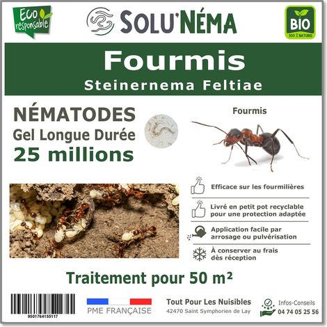 Traitement fourmis - 25 millions Nématodes SF