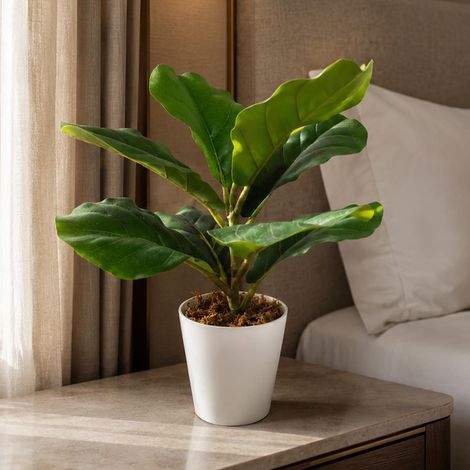 38cm Potted Artificial Fiddle Fig Plant Premium (1/5)