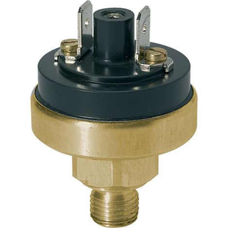 Riegler Druckschalter, Niederdruck, MS, M10x1, 0,2 - 1,5 bar, Schließer (1/3)