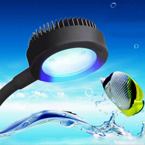 Lampe d'aquarium à spectre complet, petite lampe à pince pour aquarium (noire) (1/5)