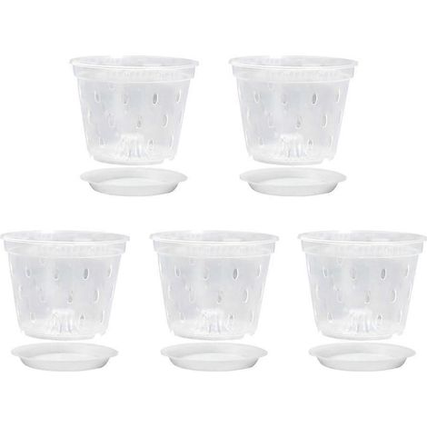 Pot de culture transparent pour semis de plantes succulentes, orchidées et fleurs (1/4)