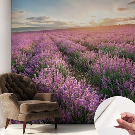 Carta da parati adesiva - lavabile - decorazione murale - per cucina - pellicola decorativa Campi di lavanda 250x250 cm (1/5)
