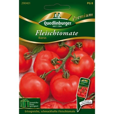 Quedlinburger Fleischtomate Ikarus - Gemüsesamen (1/5)